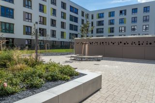 041_(c)Lichtschwaermer_IMG_6110