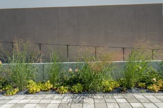 043_(c)Lichtschwaermer_IMG_6103