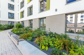 074_(c)Lichtschwaermer_IMG_5823