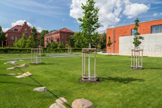 (c)Lichtschwaermer_313__MG_5076